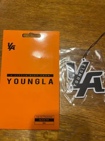 YOUNGLA 카 에어프레셔너 블랙 아이스