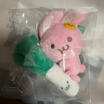 NCTDREAM 재민  핑키