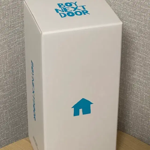 보넥도 보이넥스트도어 응원봉 원더스틱