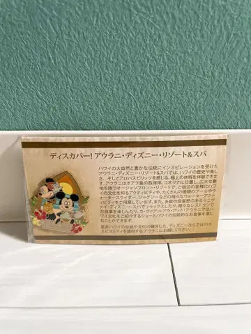 새상품 레어 디즈니 아우라니 핀 배지