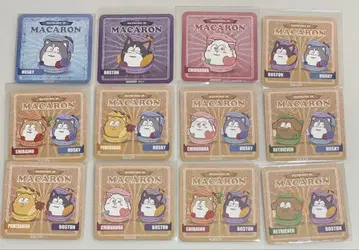 마츠이누 오소마츠 6쌍둥이 Nuidri 못큥업 특전 코스터