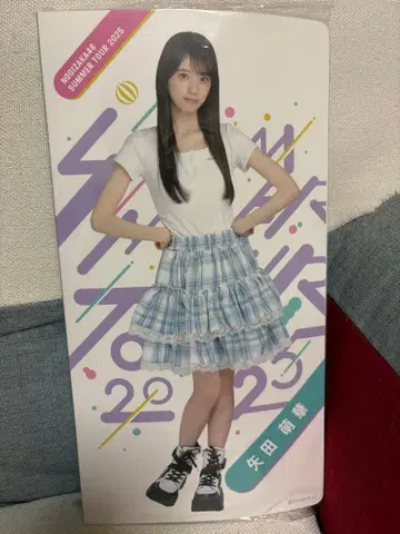 개별 사진 앨범/한여름 전국 투어 2025 야타 모에카