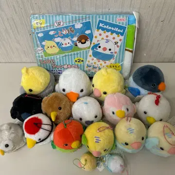 코토리대 세트 & 점보 타월