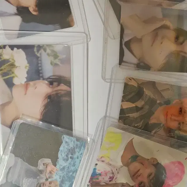 세븐틴포카<정한, 도겸>