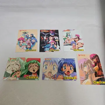 소니아 트레이딩 카드 6장 세트