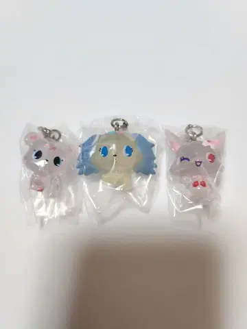 주얼펫 메지루시 액세서리