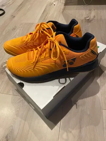 레어 컬러, 중고품 YONEX 이클립션 4 맨 29.0cm 옴니 클레이