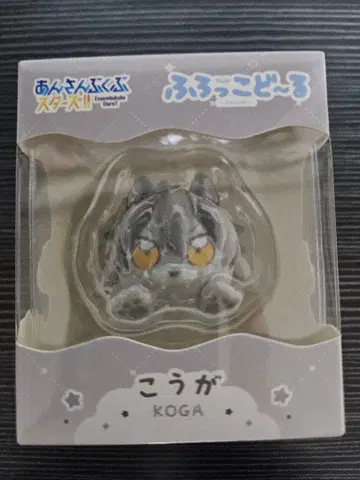 앙스타 후로코도르 코가