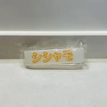 SHISHAMO 러버 밴드