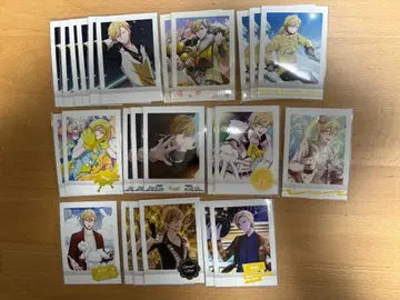 아이나나 파샤코레 롯야 나기 세트