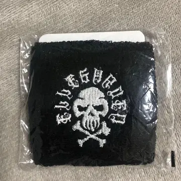 ELLEGARDEN 리스트 밴드