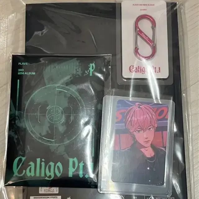 플레이브 대쉬 퓨지티브 앨범(밤비) + 밤비 미공포포카 + 포카앨범 일괄