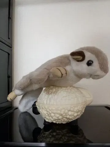 모몽가 봉제 인형 활강 모습