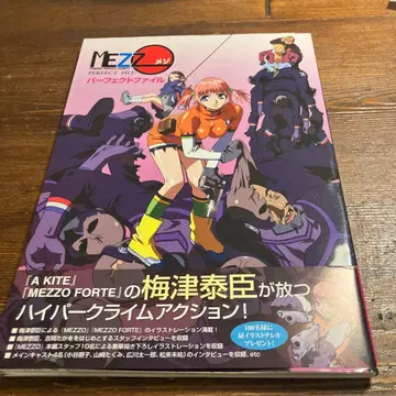 메조 퍼펙트 파일