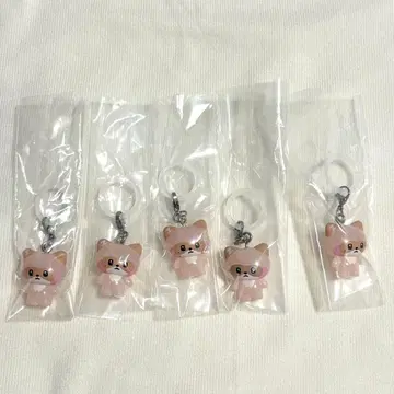 ZB1 제로니 하니니 메지루시 액세서리