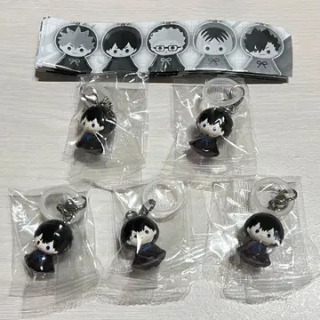 하이큐 메지루시 액세서리 카게야마 토비오 5개 세트