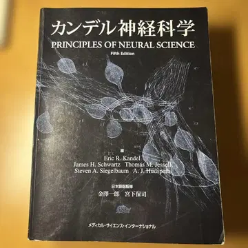 칸델 신경과학