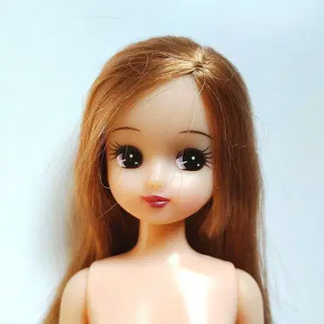 리카짱 인형 본체 브라운 헤어