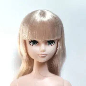 제니 인형 본체 프렌드 시온 리카짱 캐슬 리틀 팩토리