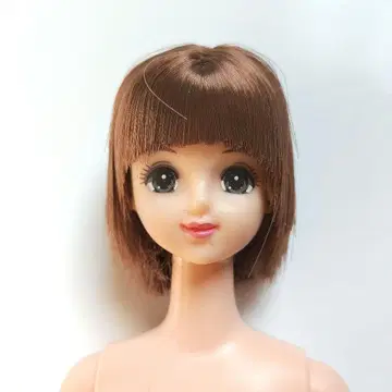 제니 인형 본체 오인형교실 리카짱 캐슬 리틀팩토리