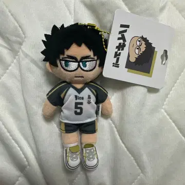 아카아시 케이지 봉제 인형 지로리 하이큐