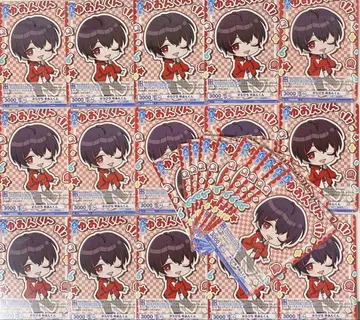 컬러풀 피치  유안군 묶음 판매