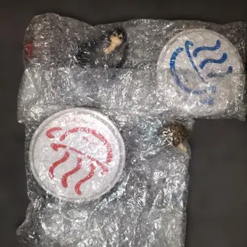 케이온! DX 피규어 LONDON 아키야마 미오 타이나카 리츠