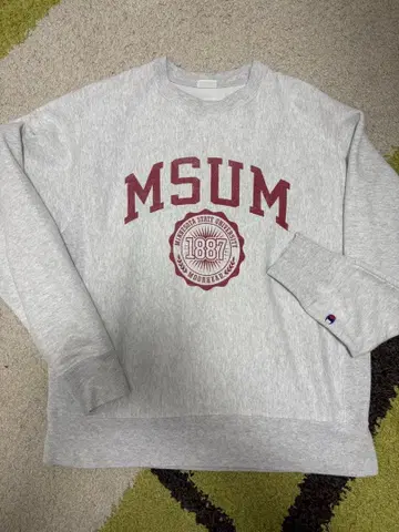 Champion 리버스 위브 맨투맨