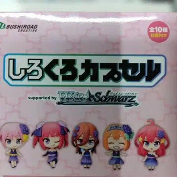 바이스 슈바르츠 서포트 5등분의 신부 BOX ver.