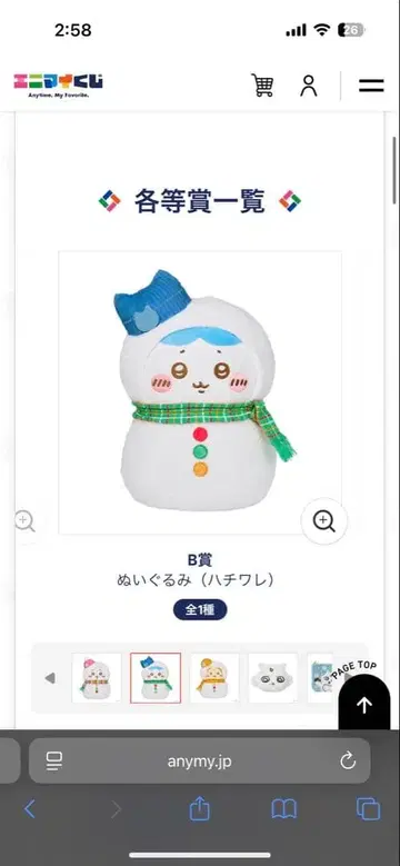 치이카와 제일복권 B상 하치와레