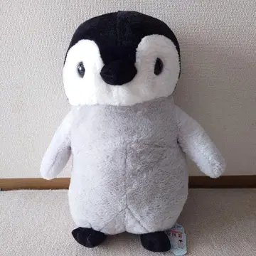 펭귄 아일랜드 히나짱 펭귄 봉제 인형