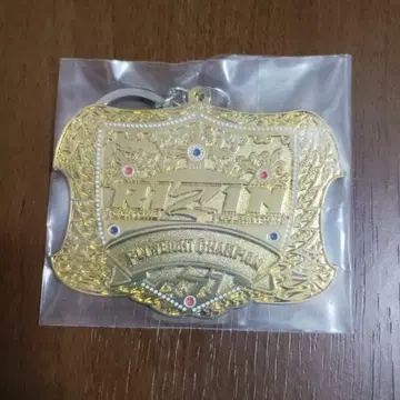 RIZIN 제일복권 D상 챔피언 벨트 메탈 참