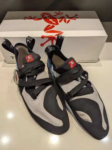 테나야 오아시 UK8 클라이밍 신발