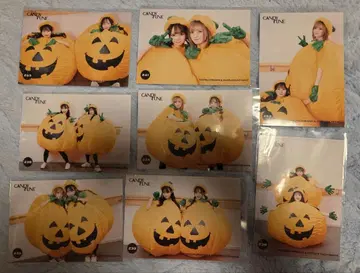 CANDY TUNE 할로윈 호박 의상 브로마이드 8장 세트