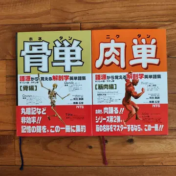 골단 육단 세트 NTS