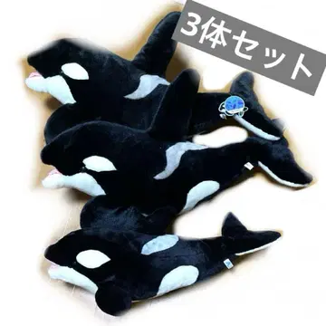 범고래 범고래 봉제 인형 3개 세트