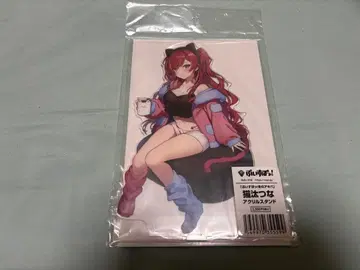 겨울의 아키바 네코타 츠나