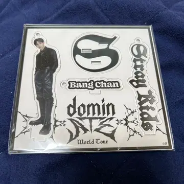 straykids 방찬 왈츠 아크릴 스탠드 키링