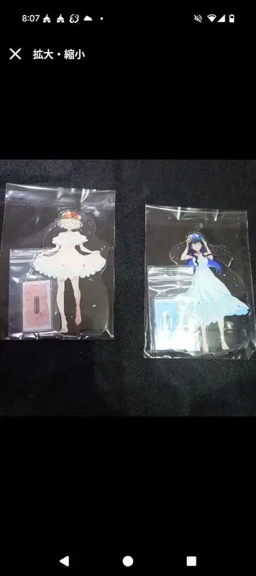 니시키기 치사토 이노우에 타키나 생일 기념 아크릴 스탠드