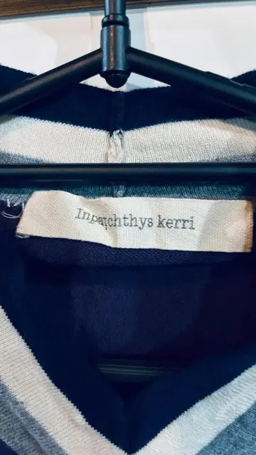 Inpaichthys Kerri V넥 퍼플 스웨터