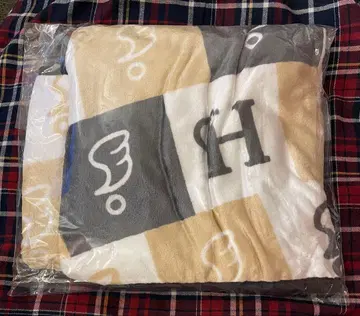 담요 HSJ 돔 투어 2025-2026 S say