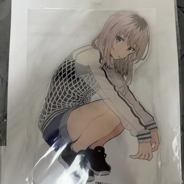 걸즈 밴드 크라이 카와라기 모모카 GIGO 대형 아크릴 스탠드 판매합니다