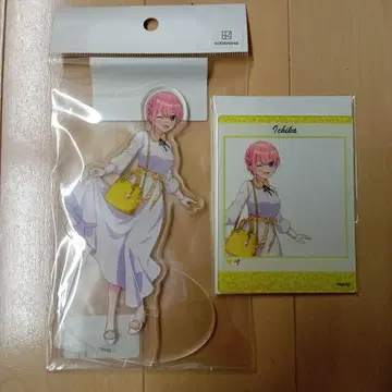 5등분의 신부 오사카 데이트 나카노 이치카 아크릴 스탠드 아크릴 카드