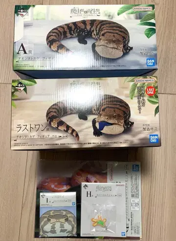 제일복권 파충류 & 양서류 아오지타 도마뱀 A상 라스트 원상 덤 포함
