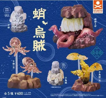 문어, 오징어 전 5종 풀컴프