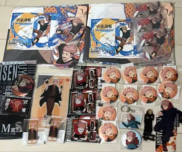 주술회전 이타도리 유우지 정리