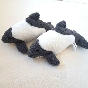 이로와케돌고래 2체 세트 센다이 우미노모리 수족관