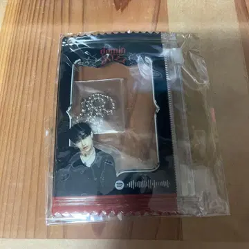 스키즈 방찬 서울콘 한정판 트레이딩 카드 케이스 Spotify 혜택