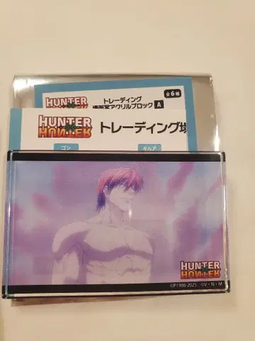 헌터헌터 지로리 플라자 아크릴 블록 히소카