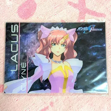 건담 SEEDFREEDOM 라크스 클라인 아크릴 보드